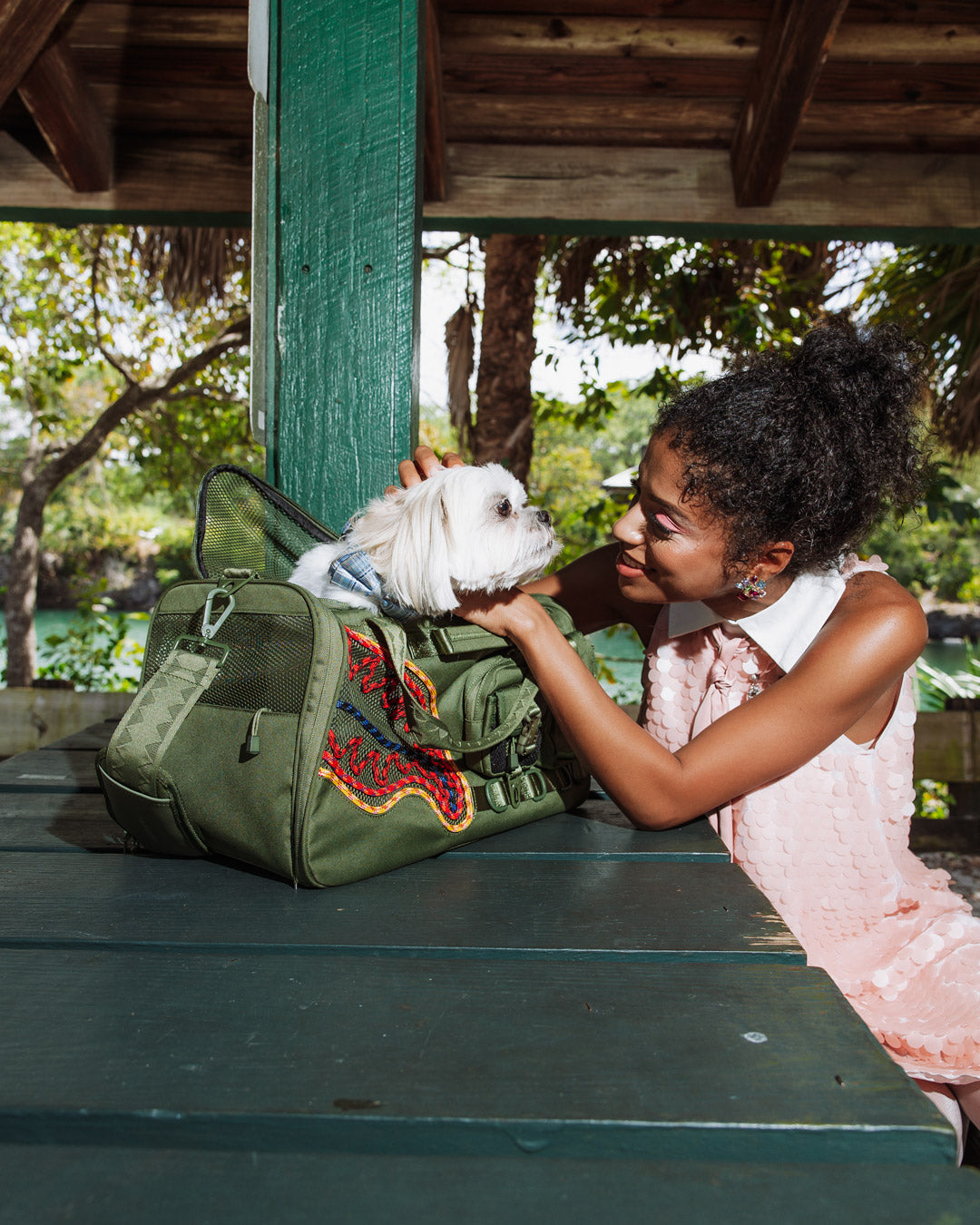 SPRAYGROUND Won'T Stop Till The Top Pet Carrier — product image 2