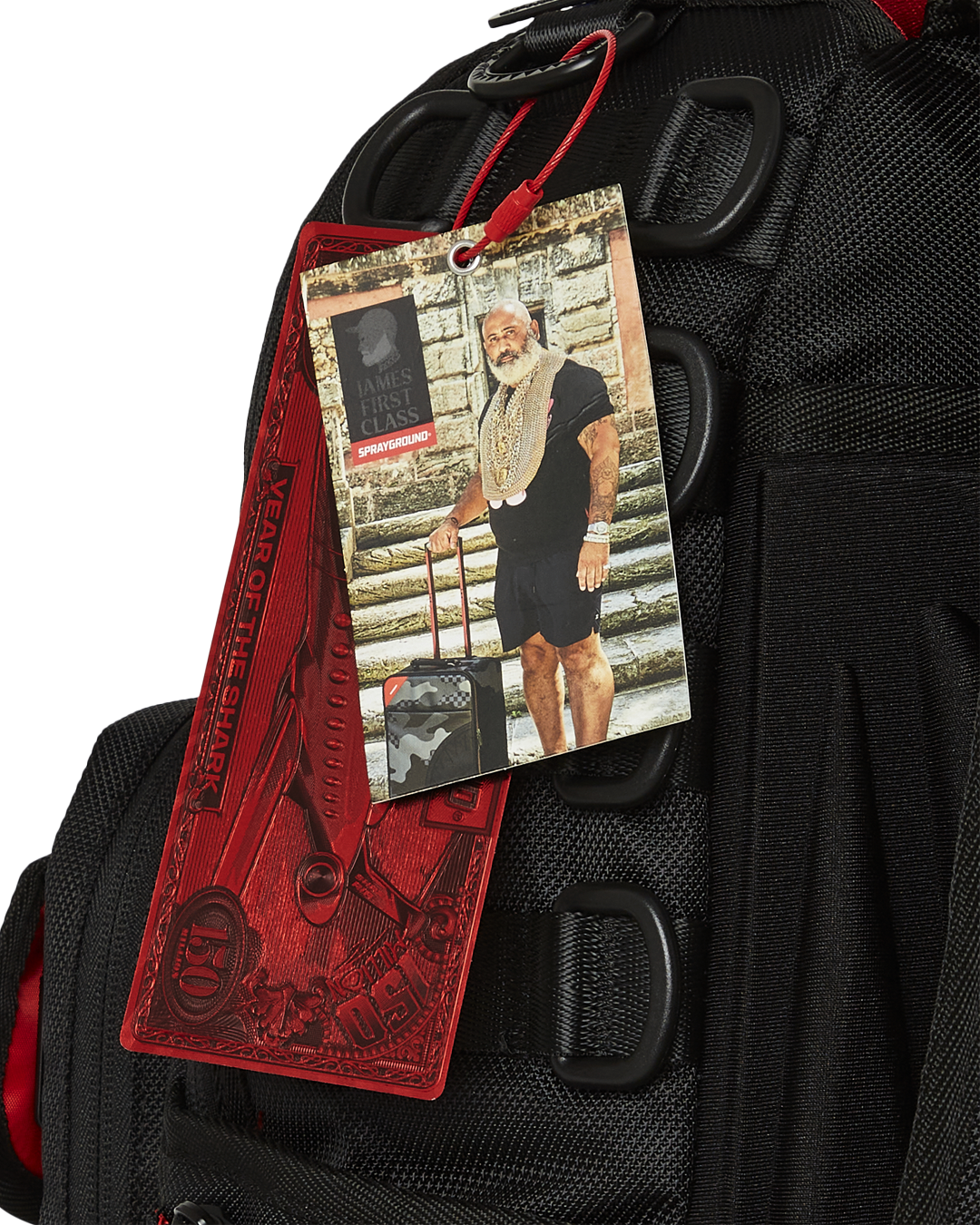 SPRAYGROUND James First Class Global Flags Special Ops Cargo Backpack — product image 16