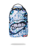 SPRAYGROUND Spensive Backpack — product image 1